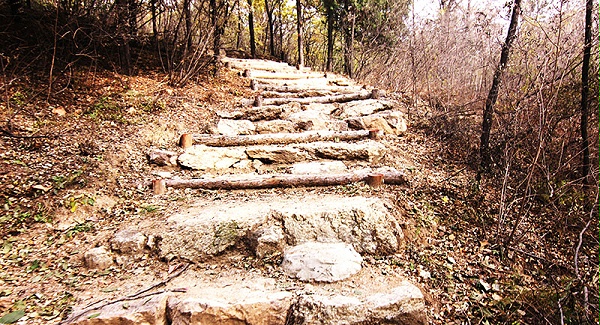 以愛之名，貼地疾行