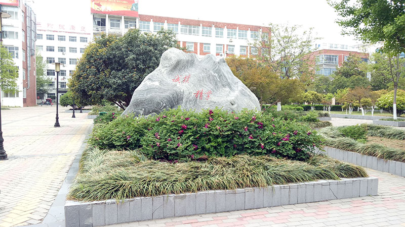 漯河醫(yī)專(zhuān)會(huì)議室音視頻系統(tǒng)由PRS打造