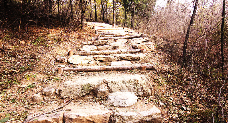 以愛(ài)之名，貼地疾行